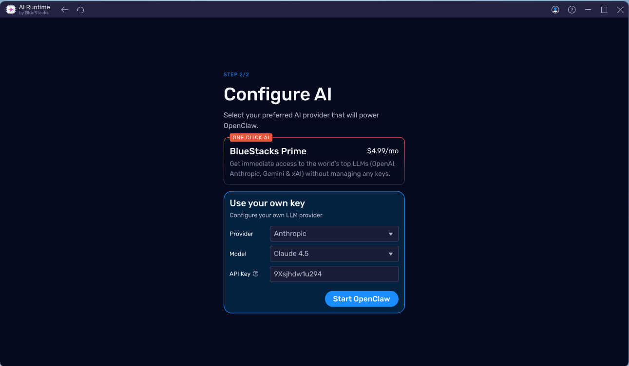 Own API key configuration with provider selection