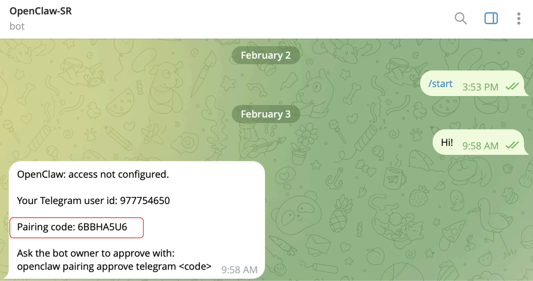 Bot pairing code in Telegram
